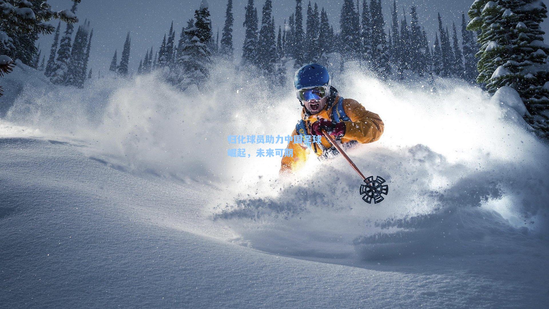 归化球员助力中国足球崛起，未来可期