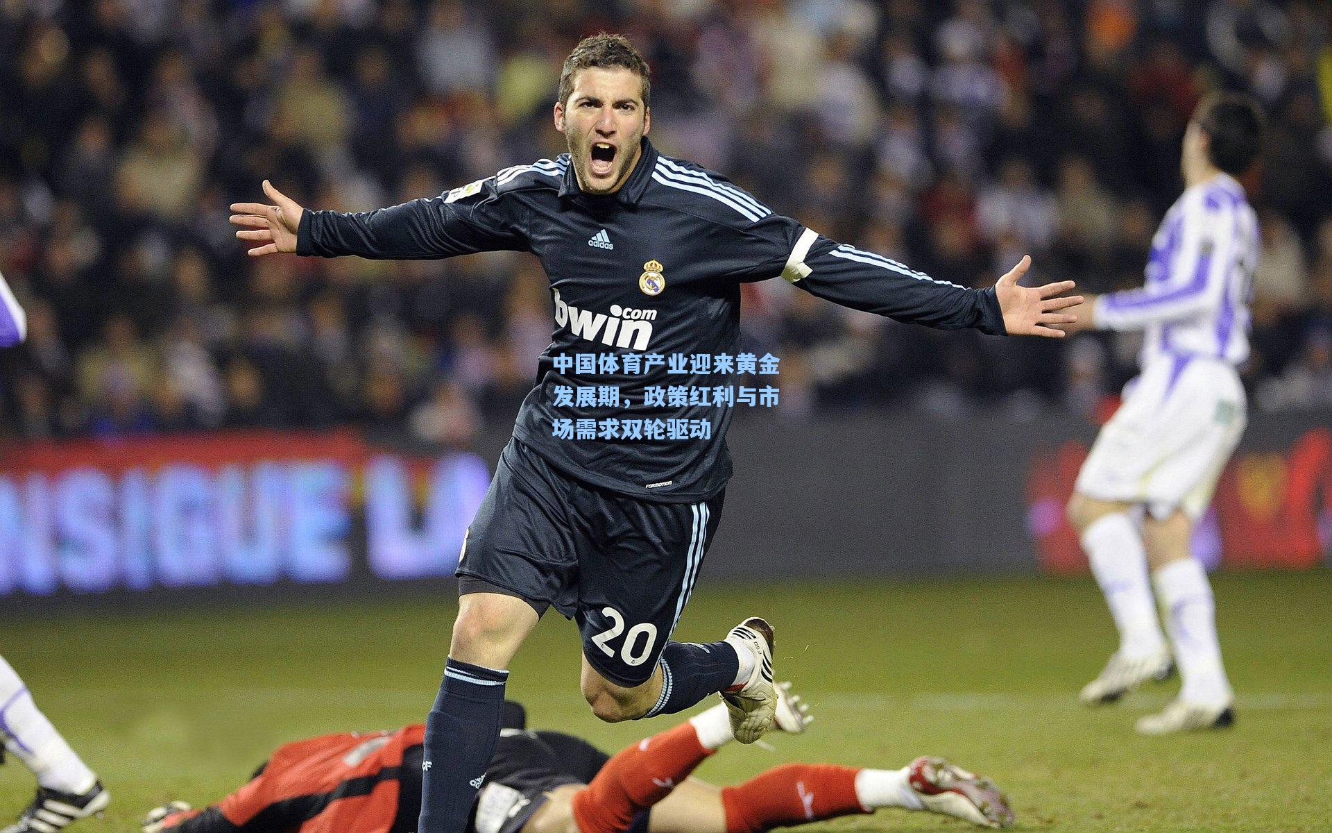 中国体育产业迎来黄金发展期，政策红利与市场需求双轮驱动